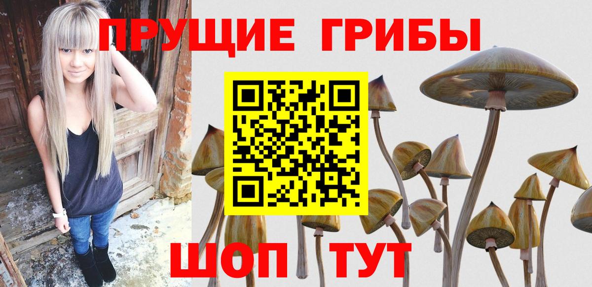Альметьевск  Галлюциногенные грибы прущие грибы  Вход с VPN 